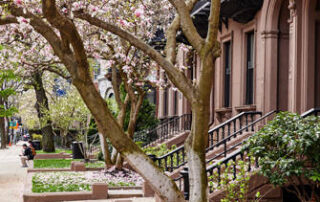 kings-education-boston-mglzFAbxtkKof8xGUbJhjQ