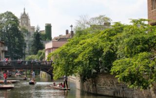 united-towers-resim_39d61a61-96b1-46dd-ab76-a6d495cd16e4