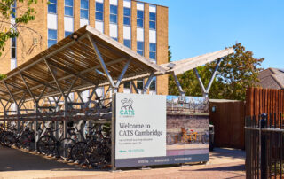 20220810—cats__a7r6267_web_52404770281_o