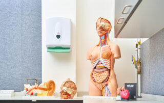 20220810—cats__a7r6275_web_52405274548_o